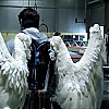 060.jpg