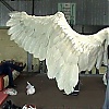 Filename=101.jpg
Filesize=120KiB
Dimensions=1024x576
Date added=Sep 01, 2025 101.jpg
