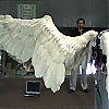 Filename=102.jpg
Filesize=107KiB
Dimensions=1024x576
Date added=Sep 01, 2025 102.jpg